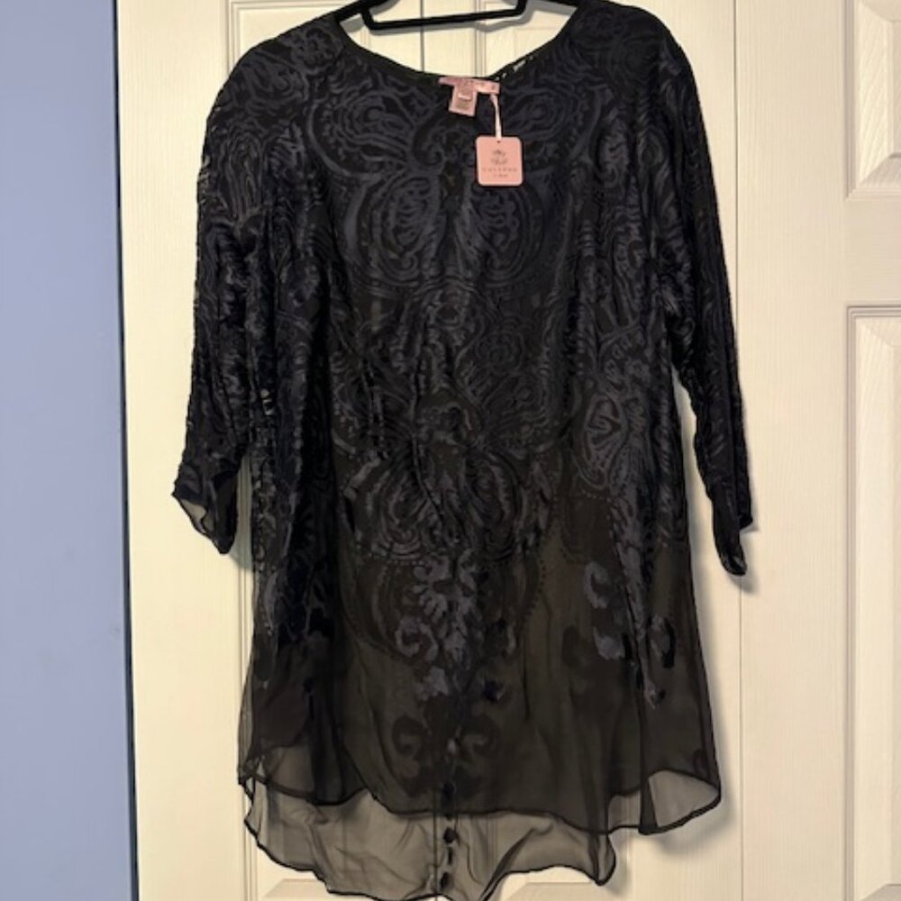 Calypso St Barth Sheer Print top/dress